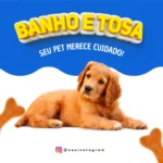 pack-profissao-12-Ck_s5WL6